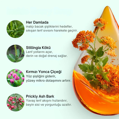 Lymphoria Wellness Drops