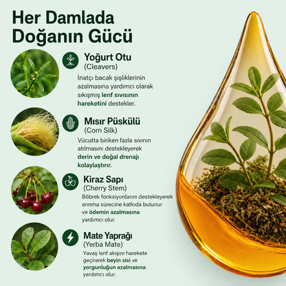 Lymphoria Ödem Atıcı-Şişkinlik Karşıtı Lenf Detoks Damlası